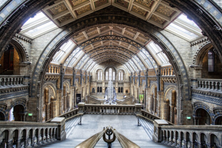 The natural history museum in London is home to many amazing exhibits but perhaps the most amazing are the dinosaur skeletons. London, UK, History, Museum, Architecture, Photography, Simon Bond