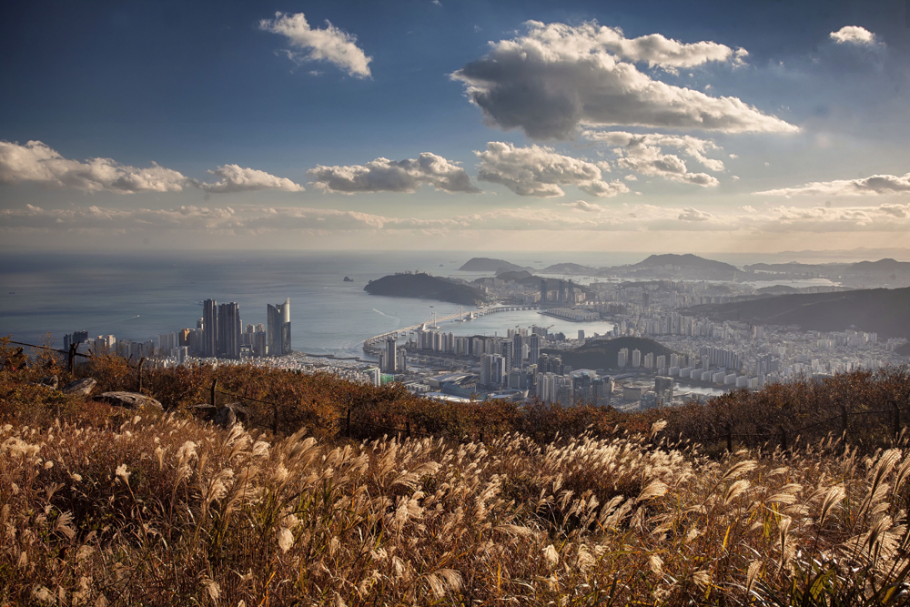 The view of Busan taken from Namsan. This is one of the best creative photos Simon Bond took in 2018.