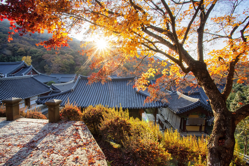 An autumn scene at Songkwansa in South Korea. This is one of the best creative photos Simon Bond took in 2018.