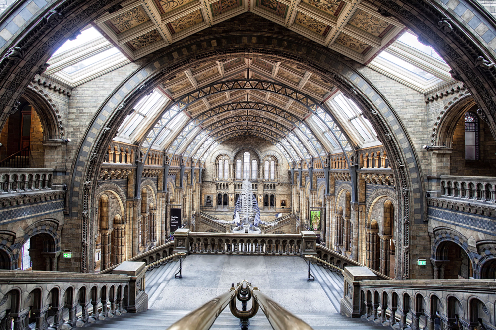 The interior roofing of the Natural History Museum in London. This is one of the best creative photos Simon Bond took in 2018.