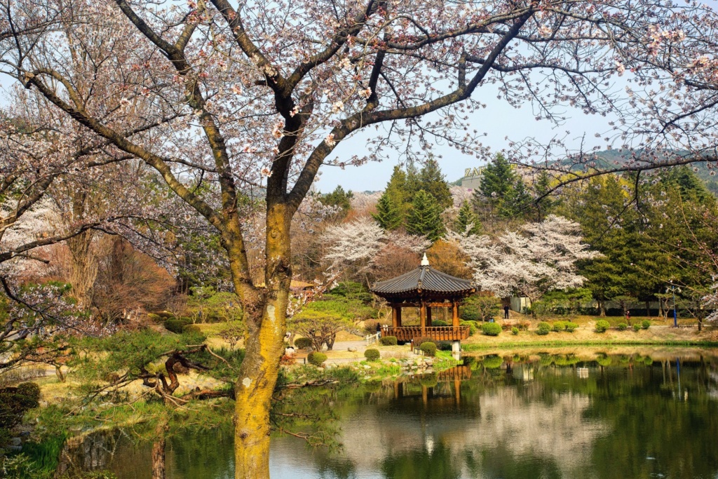 The Bomun lake pagoda in Gyeonju during Spring.