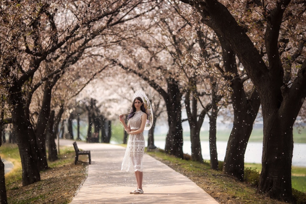 Spring cherry blossom portrait photo. Taken by professional photographer Simon Bond. Based in South Korea.